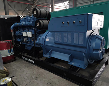 公海彩船66001200KW 10.5KV 矿山项目