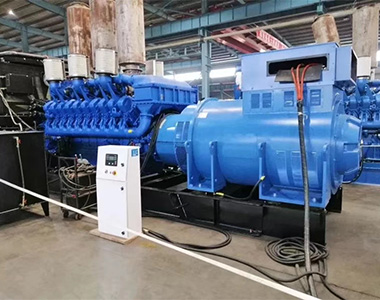 公海彩船66001800KW/10.5Kv高压发电机应用于某工厂项目