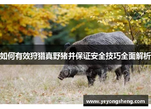 如何有效狩猎真野猪并保证安全技巧全面解析